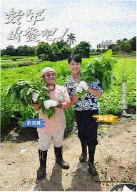 昊天影院分拣片单 慢节奏纪录综艺封面示意